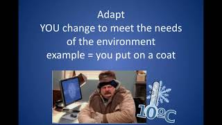 Adapt or Modify