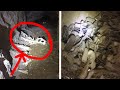 KIDS SHOES AND BONES FOUND IN ABANDONED MINE!!! Mccoy Mine Nevada