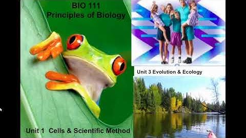 BIO 111 Online - OrientationVideo
