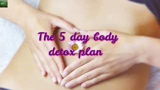 The 5 Days Body Detox Plan