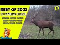 Best of camera chasse 2023   trailcam
