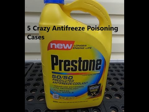 Vidéo: Cat Anifreeze Poisoning - Intoxication à L'antigel Chez Les Chats