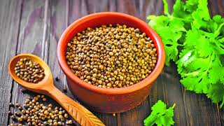 Coriander Seeds Water Videos Coriander Seeds Water Clips