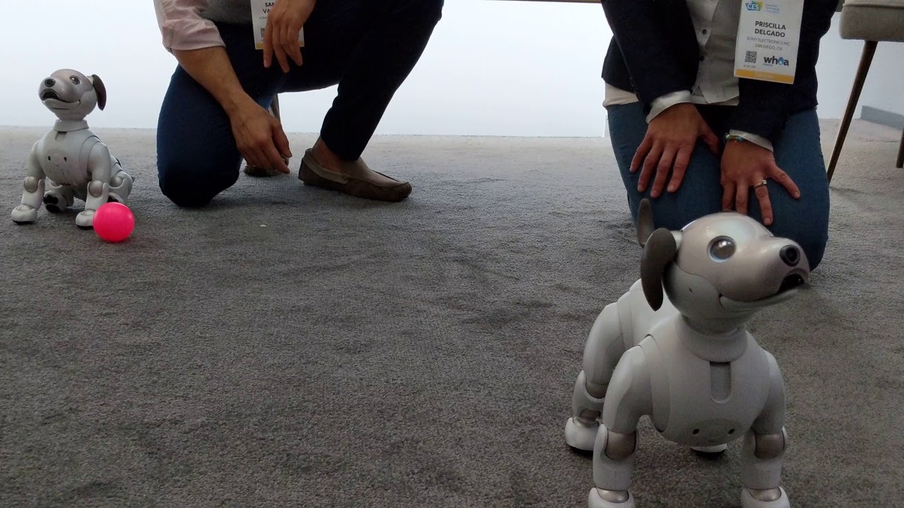 CES 2018  Regresa Aibo, el perro robot de Sony