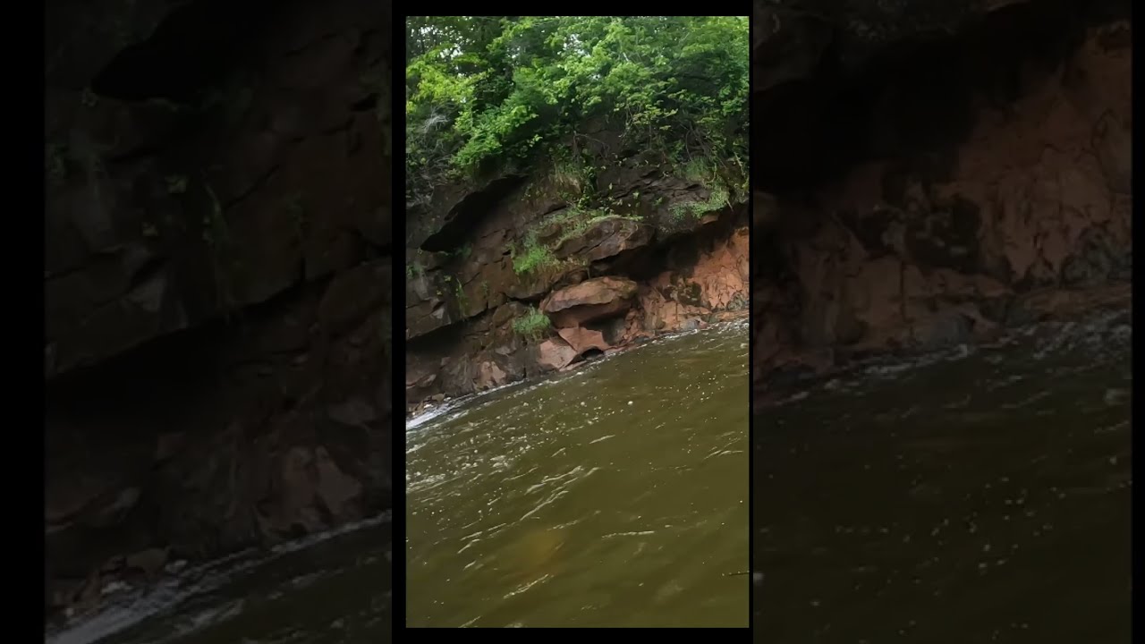 BIG Muskie In Tiny Creek 