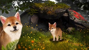 Wolf Game: The Wild Kingdom - Raise Wolf Pup 🐺 - Gameplay #5