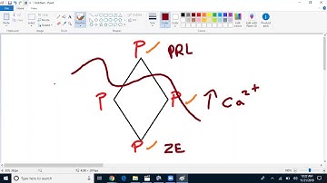 Secrets to Dissecting USMLE Step 1 Questions (Sample)