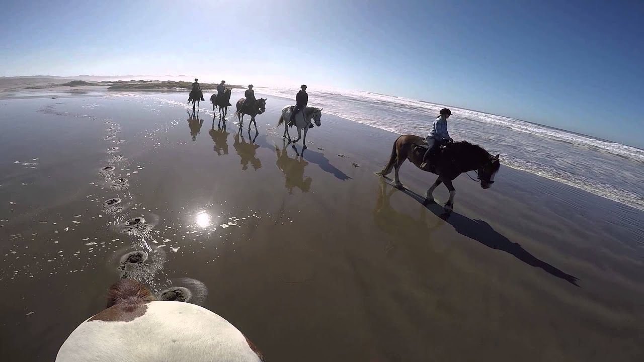 Horseback Beach Ride Fort Bragg California 2015 YouTube