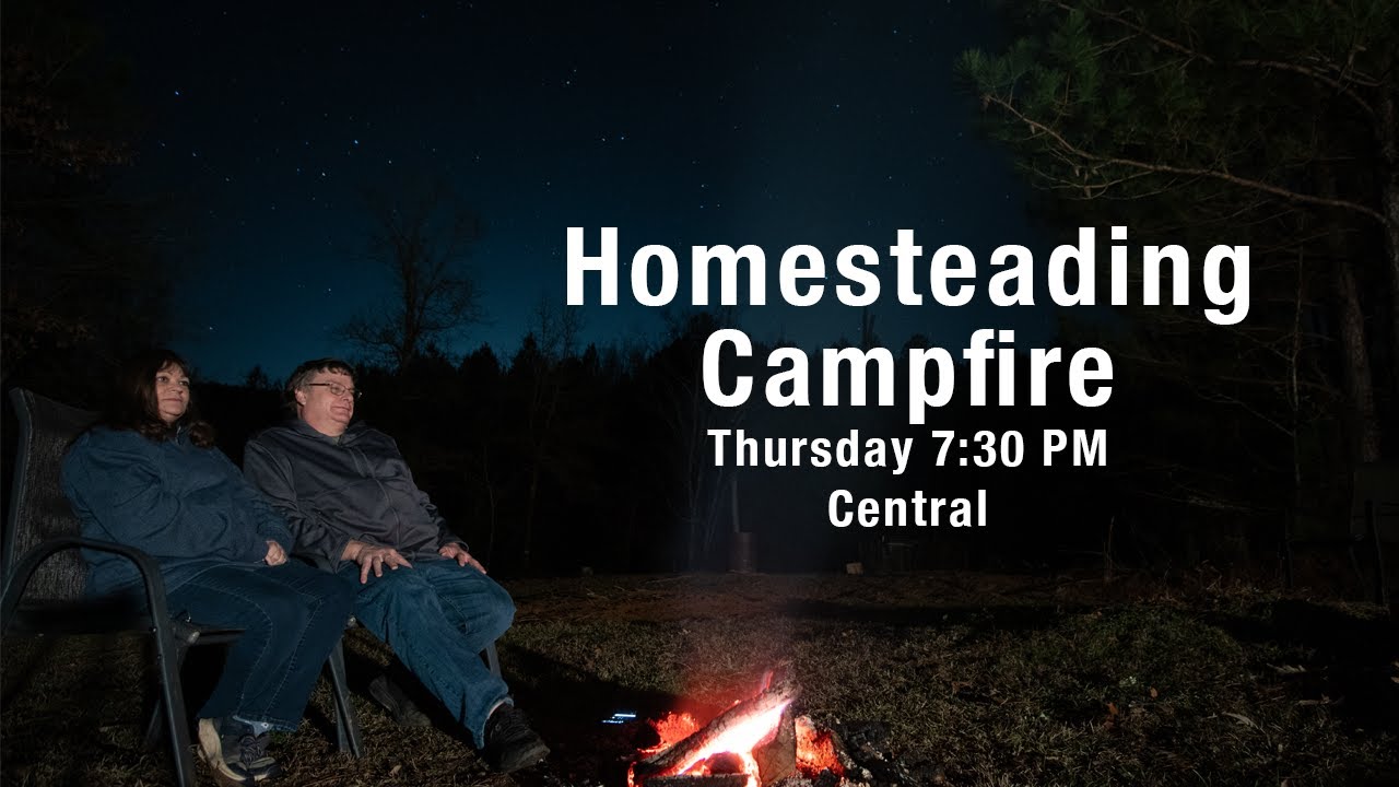 Homestead Chat: It Is COLD?