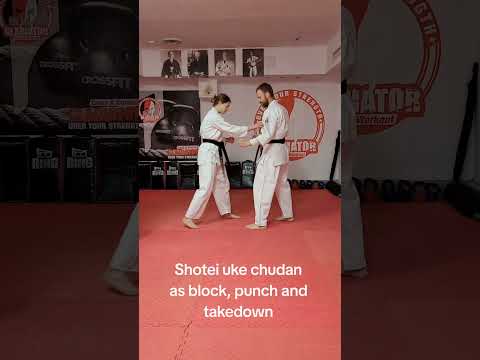 #shotei #uke #chudan