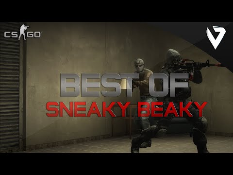CS:GO - Best of Pro "Sneaky Beaky"