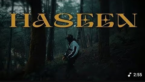 HASEEN - TALWINDER, NDS, RIPPY (Official Visualizer)