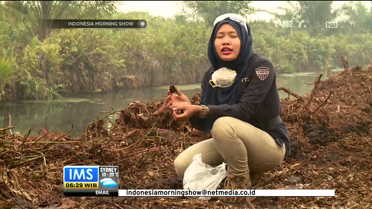 Selain Ulah Manusia, Tanah Gambut Sebabkan Kebakaran Hutan ...