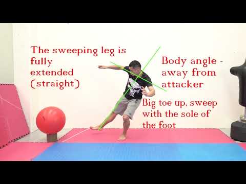 Karate Kickboxing and MMA Sweep Anatomy Demonstrated