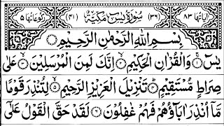 Surah Yasin (Yaseen) | Daily Quran Tilawat Surah Yasin Surah Rahman Surah Yaseen