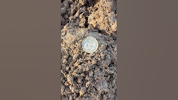 1934 Overdate? Silver #metaldetecting #neilcolston ​⁠@MinelabDetecting