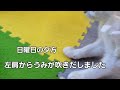 保護猫　子猫のちびちゃん　寝たきりから復活後…ご報告😓