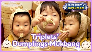 [Triplets' House] Legendary dumplings mukbang of Triplets 🥟🥟🥟 | KBS WORLD TV