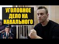 Плющенко, ветеран, уголовное дело против Навального