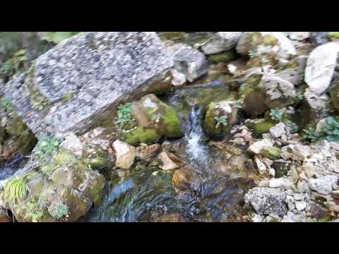 ფასკნარის სათავე