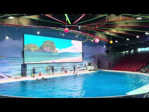 Dubai Dolphinarium I Creek Park I Children's City I Dubai I United Arab Emirates