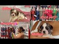 COME WITH ME TO GET A PUPPY FOR THE FIRST TIME!?!?!