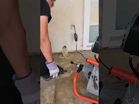 Unclogging with Rigid