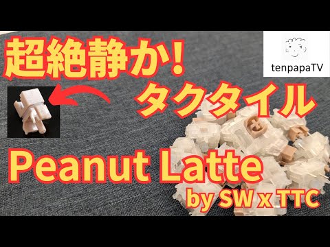 Super Silent!] SW x TTC Peanut Latte Silent Tactile Switch Review
