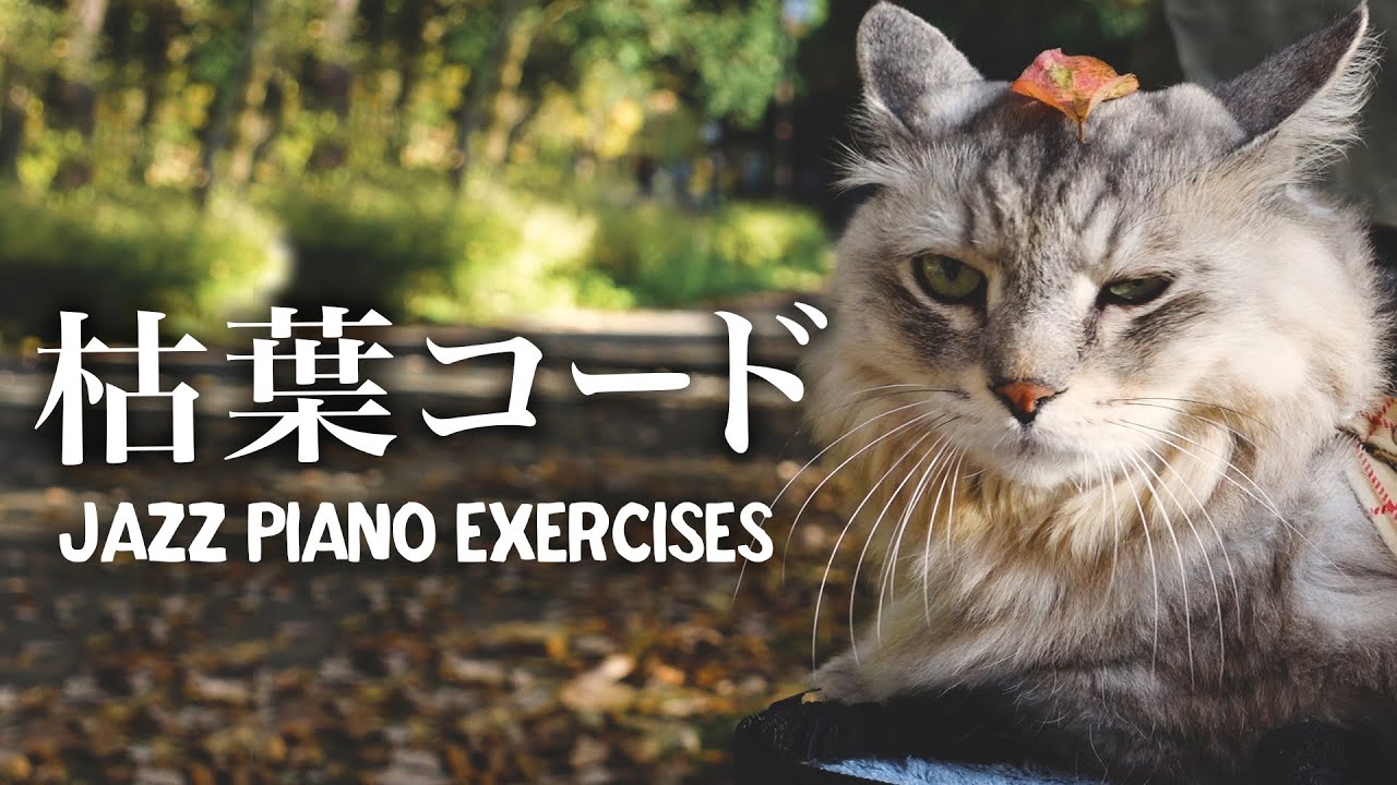 ジャズピアノ独学 枯葉コードを一種類の和音ボイシングで練習