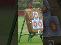 Archery & Shooting: Hit the Bullseye
