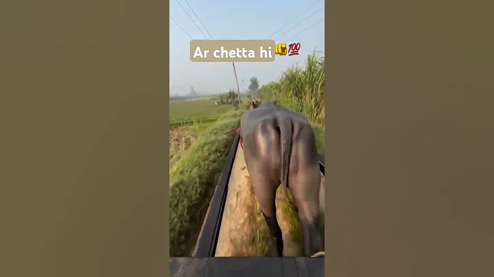 #new #automobile #carsongs #farming #village #funny #viralvideo ##comedy #comment #followforfollow