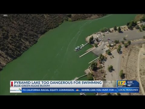 Video: Kun je zwemmen in het piramidemeer van Nevada?