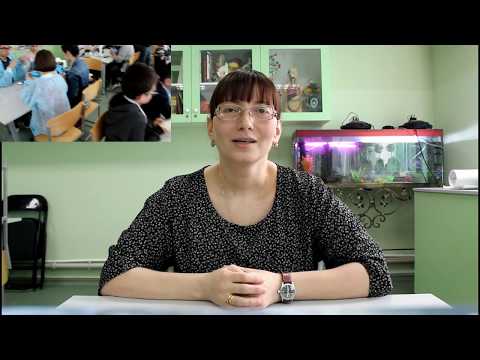 თეა ნონიკაშვილის საკონკურსო ვიდეო