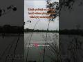 Velké ryby všech druhů patří našim vodám #fishing #rybaření #priroda #nature #rybářství #ryby #sumec