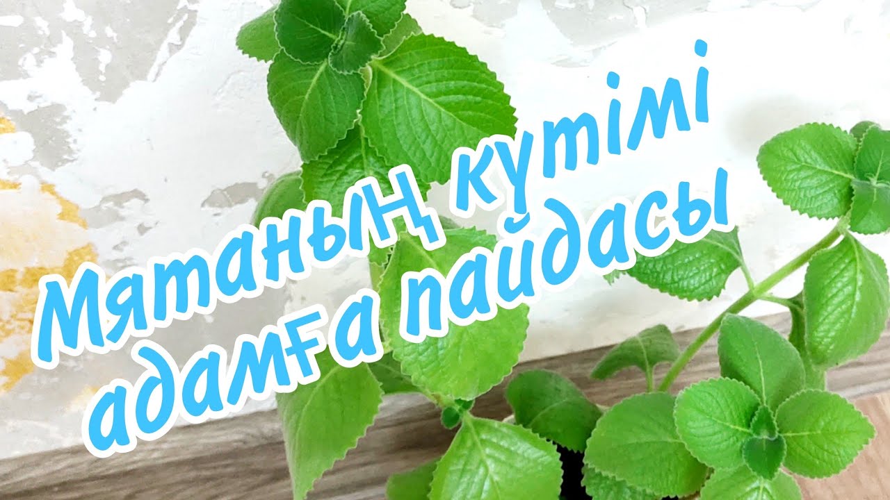 Анальды секс үшін презерватив қажет пе?