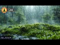 🔴 Mind Relaxing Sound Therapy 24/7, Calming White Noise, Stress Relief Music, Meditation Music, Rain