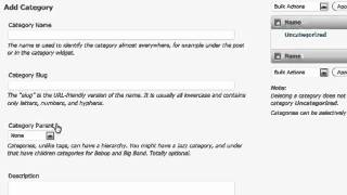 How to Categorize and Add Tag on Post - Category and Tag Features in WordPress