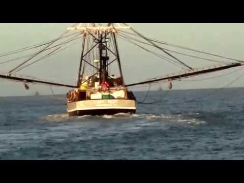 Shrimp Boats Leaving Laguna Madre, South Padre Island.