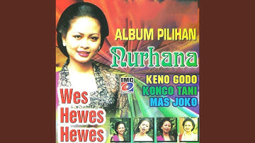 Wayah Wengi