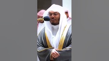 تلاوة باكية من سورة الزمر ل الشيخ أ. د. ياسر الدوسري تلاوة خاشعة وتخطف قلوب وجميله 💕