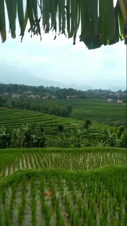 wilujeng enjing Baraya sadayana..#shorts #story #desa #indonesia #rural #life #reels  #beautiful