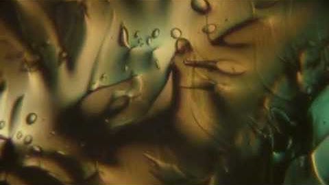 MICROSCOPIES -  film 2010 - Alain Wergifosse