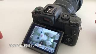 残念！Canon EOS M5などMシリーズで「SIGMA 17-70mm F2.8-4 DC MACRO