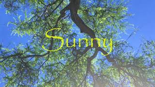 Classic IV - Sunny