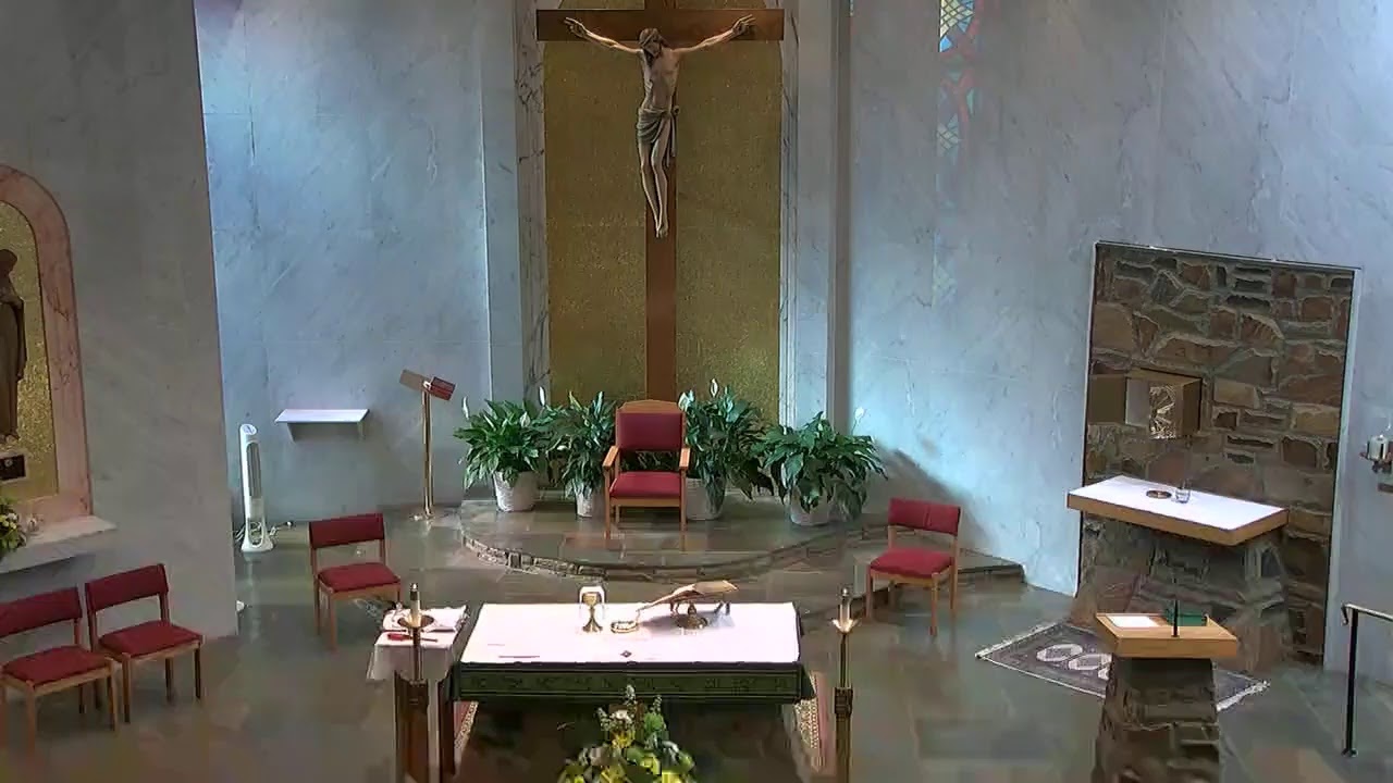 Nativity Live Stream Noon Mass January 14, 2021 YouTube