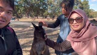 A Day Trip to Kangaroo Island From Adelaide 2024