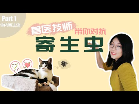 宠物寄生虫你必须知道的那些事儿｜兽医技师带你对抗寄生虫【RVT大竹子】