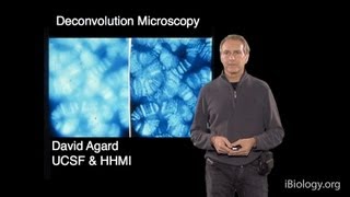 Microscopy: Deconvolution Microscopy (David Agard)