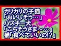 «ほっこり»ガリガリの子猫「おいしそう…」ハスキー犬「ごちそうさま~…」猫「食べていいの!?」 和む話
