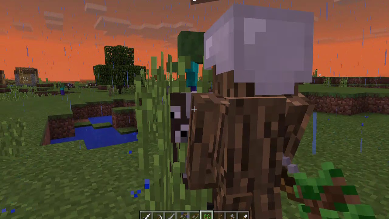 you've never seen this in minecraft (no mods) - YouTube